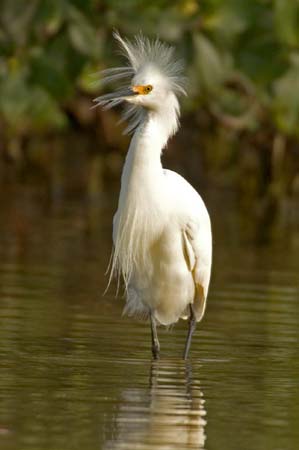 SoFlorida05_016