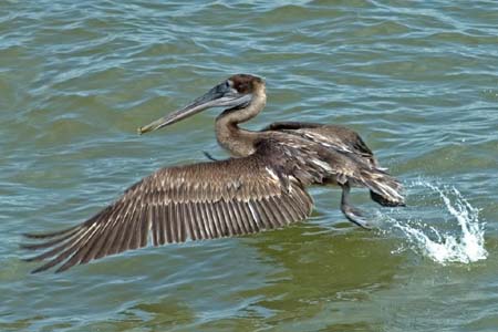 SoFlorida05_076