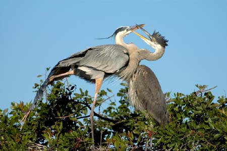 SoFlorida05_090