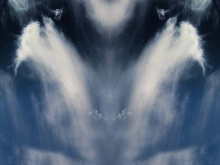Wing1_5735