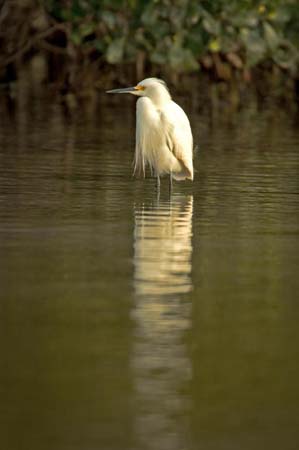 SoFlorida05_017
