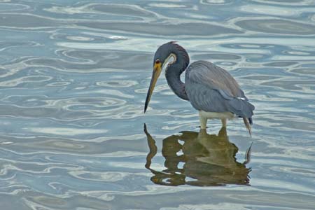 SoFlorida05_023