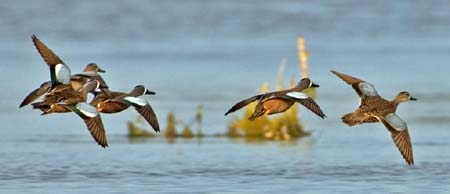 SoFlorida05_029