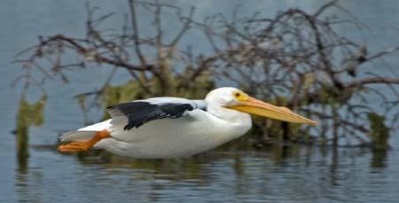 SoFlorida05_037