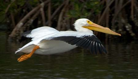 SoFlorida05_038