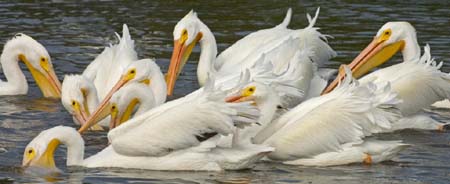 SoFlorida05_048