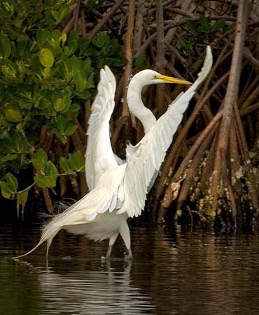 SoFlorida05_054