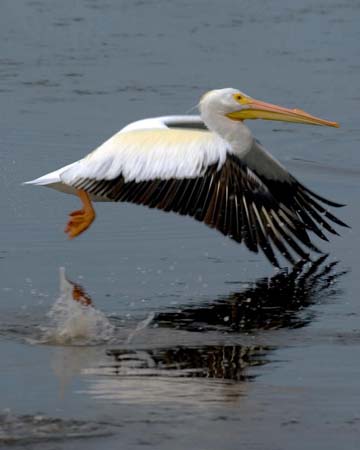 SoFlorida05_066
