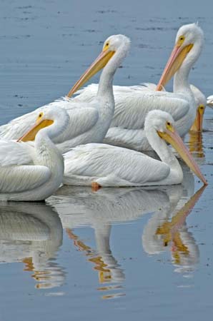 SoFlorida05_067