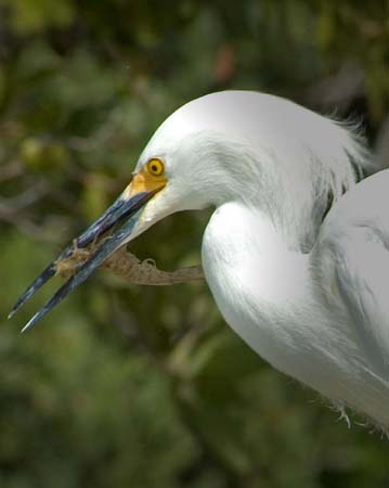 SoFlorida05_071