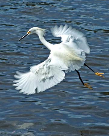 SoFlorida05_072