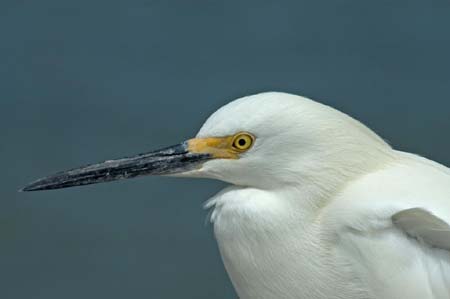 SoFlorida05_075