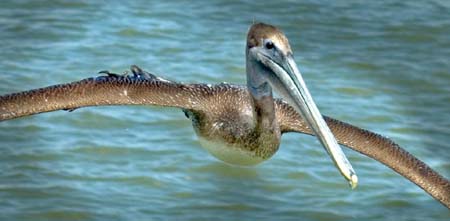 SoFlorida05_079