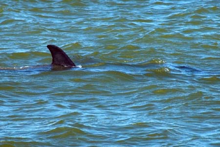 SoFlorida05_080