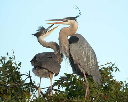 SoFlorida05_088