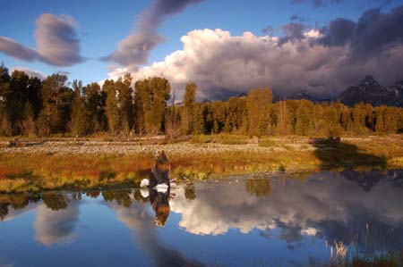 YelTeton04_003